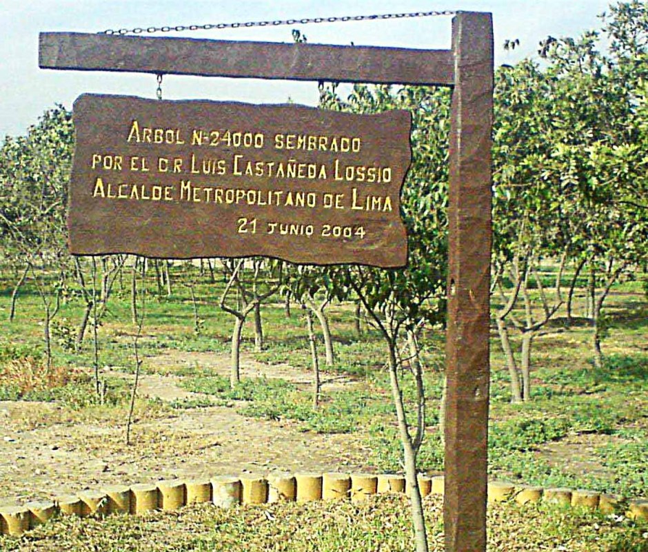 Y el Cartel que con motivo del sembrado del árbol 24,000 hizo el Alcalde de Lima Castañeda Lossio el día que lo plantó.